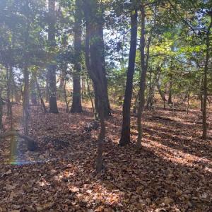 Photo #10 of SOLD property in Cypress Bridge Park, Newsoms, VA 63.4 acres