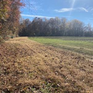 Photo #11 of SOLD property in Cypress Bridge Park, Newsoms, VA 63.4 acres