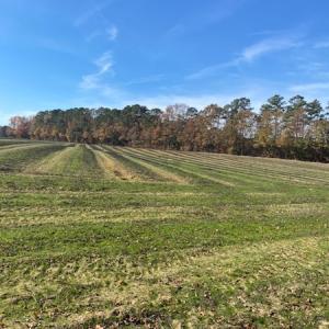 Photo #12 of SOLD property in Cypress Bridge Park, Newsoms, VA 63.4 acres