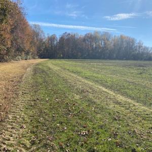 Photo #13 of SOLD property in Cypress Bridge Park, Newsoms, VA 63.4 acres