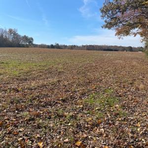 Photo #15 of SOLD property in Cypress Bridge Park, Newsoms, VA 63.4 acres