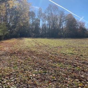 Photo #16 of SOLD property in Cypress Bridge Park, Newsoms, VA 63.4 acres