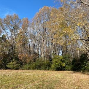 Photo #18 of SOLD property in Cypress Bridge Park, Newsoms, VA 63.4 acres