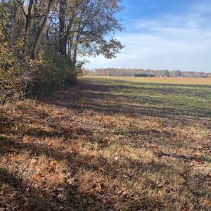 Photo #24 of SOLD property in Cypress Bridge Park, Newsoms, VA 63.4 acres