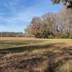 Photo #25 of SOLD property in Cypress Bridge Park, Newsoms, VA 63.4 acres