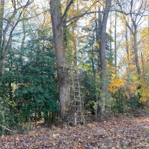 Photo #27 of SOLD property in Cypress Bridge Park, Newsoms, VA 63.4 acres