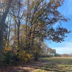 Photo #28 of SOLD property in Cypress Bridge Park, Newsoms, VA 63.4 acres