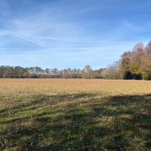 Photo #29 of SOLD property in Cypress Bridge Park, Newsoms, VA 63.4 acres