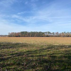 Photo #30 of SOLD property in Cypress Bridge Park, Newsoms, VA 63.4 acres