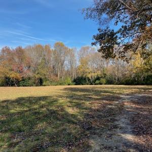 Photo #31 of SOLD property in Cypress Bridge Park, Newsoms, VA 63.4 acres