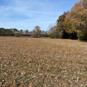 Photo #32 of SOLD property in Cypress Bridge Park, Newsoms, VA 63.4 acres