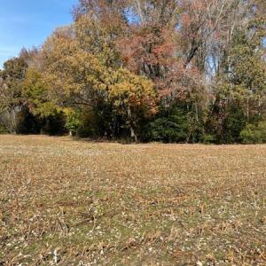 Photo #33 of SOLD property in Cypress Bridge Park, Newsoms, VA 63.4 acres