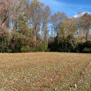 Photo #34 of SOLD property in Cypress Bridge Park, Newsoms, VA 63.4 acres