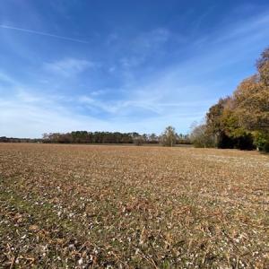 Photo #35 of SOLD property in Cypress Bridge Park, Newsoms, VA 63.4 acres