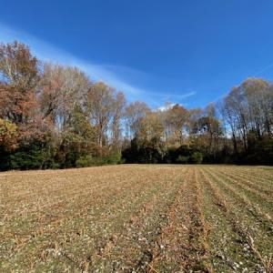 Photo #36 of SOLD property in Cypress Bridge Park, Newsoms, VA 63.4 acres