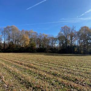 Photo #37 of SOLD property in Cypress Bridge Park, Newsoms, VA 63.4 acres