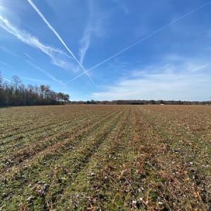 Photo #38 of SOLD property in Cypress Bridge Park, Newsoms, VA 63.4 acres