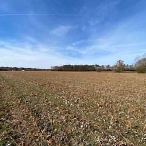 Photo #39 of SOLD property in Cypress Bridge Park, Newsoms, VA 63.4 acres