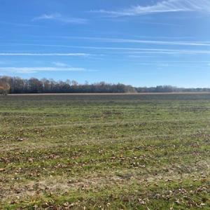 Photo #40 of SOLD property in Cypress Bridge Park, Newsoms, VA 63.4 acres