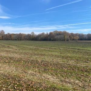 Photo #41 of SOLD property in Cypress Bridge Park, Newsoms, VA 63.4 acres