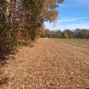 Photo #42 of SOLD property in Cypress Bridge Park, Newsoms, VA 63.4 acres