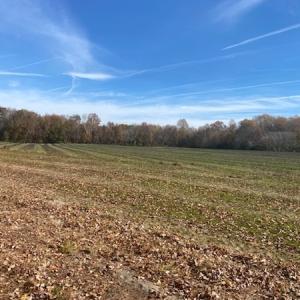 Photo #43 of SOLD property in Cypress Bridge Park, Newsoms, VA 63.4 acres