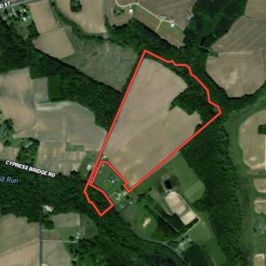 Photo #1 of SOLD property in Cypress Bridge Park, Newsoms, VA 63.4 acres