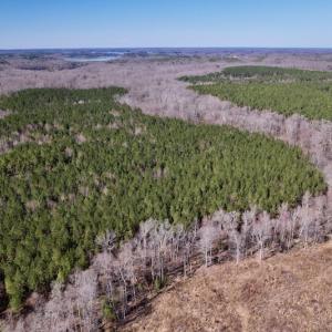 Photo #9 of SOLD property in Off Peninsula Lane, Bullock, NC 68.0 acres