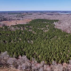 Photo #10 of SOLD property in Off Peninsula Lane, Bullock, NC 68.0 acres