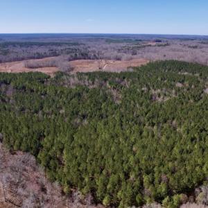Photo #11 of SOLD property in Off Peninsula Lane, Bullock, NC 68.0 acres