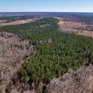 Photo #12 of SOLD property in Off Peninsula Lane, Bullock, NC 68.0 acres