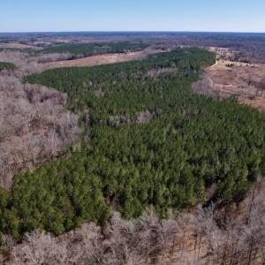 Photo #13 of SOLD property in Off Peninsula Lane, Bullock, NC 68.0 acres