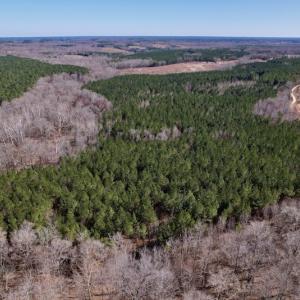 Photo #14 of SOLD property in Off Peninsula Lane, Bullock, NC 68.0 acres
