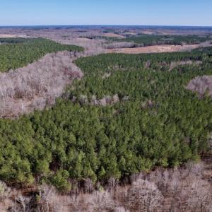 Photo #15 of SOLD property in Off Peninsula Lane, Bullock, NC 68.0 acres