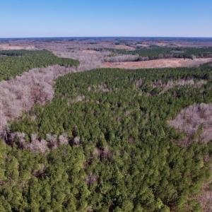 Photo #16 of SOLD property in Off Peninsula Lane, Bullock, NC 68.0 acres