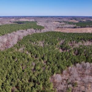 Photo #17 of SOLD property in Off Peninsula Lane, Bullock, NC 68.0 acres