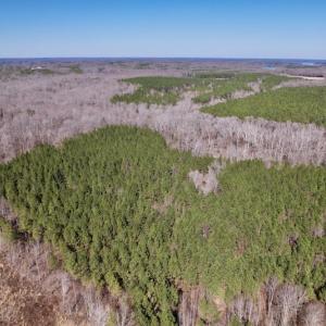 Photo #18 of SOLD property in Off Peninsula Lane, Bullock, NC 68.0 acres