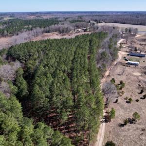 Photo #19 of SOLD property in Off Peninsula Lane, Bullock, NC 68.0 acres