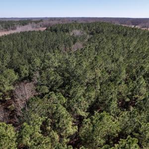 Photo #21 of SOLD property in Off Peninsula Lane, Bullock, NC 68.0 acres