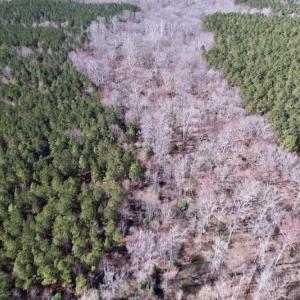 Photo #23 of SOLD property in Off Peninsula Lane, Bullock, NC 68.0 acres
