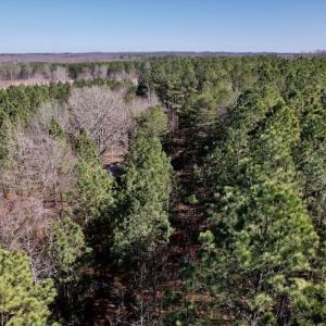 Photo #25 of SOLD property in Off Peninsula Lane, Bullock, NC 68.0 acres