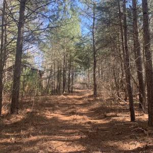 Photo #26 of SOLD property in Off Peninsula Lane, Bullock, NC 68.0 acres