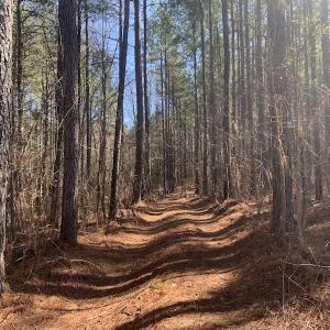 Photo #27 of SOLD property in Off Peninsula Lane, Bullock, NC 68.0 acres