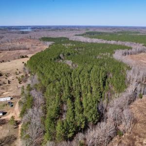 Photo #2 of SOLD property in Off Peninsula Lane, Bullock, NC 68.0 acres