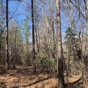 Photo #36 of SOLD property in Off Peninsula Lane, Bullock, NC 68.0 acres