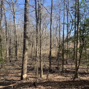 Photo #37 of SOLD property in Off Peninsula Lane, Bullock, NC 68.0 acres