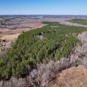 Photo #3 of SOLD property in Off Peninsula Lane, Bullock, NC 68.0 acres