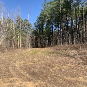 Photo #40 of SOLD property in Off Peninsula Lane, Bullock, NC 68.0 acres