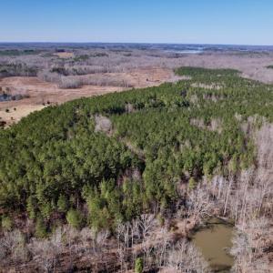 Photo #4 of SOLD property in Off Peninsula Lane, Bullock, NC 68.0 acres