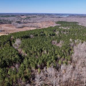 Photo #5 of SOLD property in Off Peninsula Lane, Bullock, NC 68.0 acres